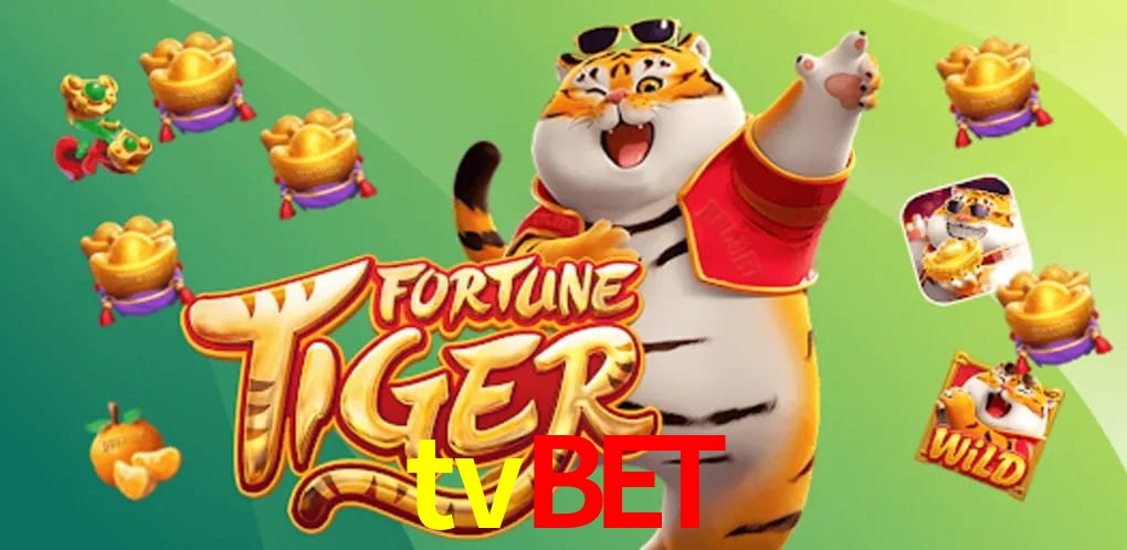 Sports Statistics tvbet